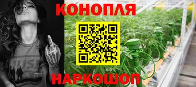 крисы Кинель