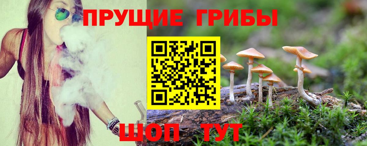 Псилоцибиновые грибы мицелий  где купить наркотик  Лесозаводск  Вход с VPN  Псилоцибиновые грибы Magic Shrooms 