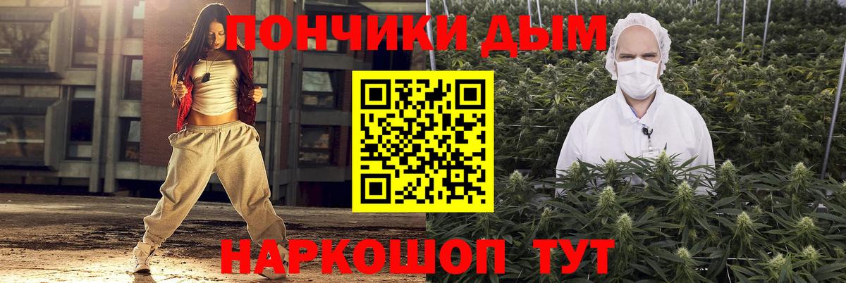 Бошки Шишки планчик Лесозаводск